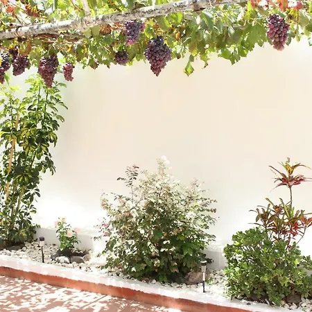 Casa Carmela * Agaete (Gran Canaria)