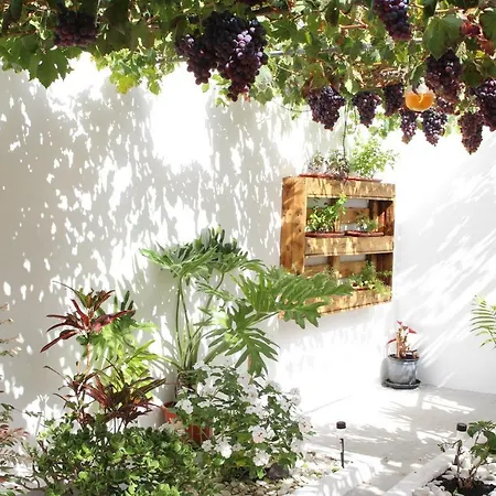 Casa Carmela Holiday home